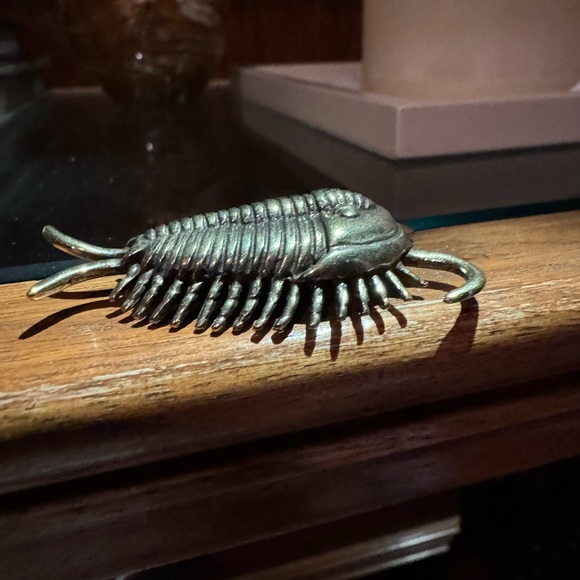 Solid Brass Trilobite Vintage-style Sculpture Desk Decor - Picture 7 of 8